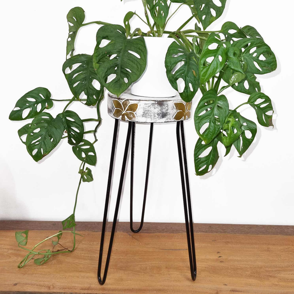 Soportes para plantas de madera