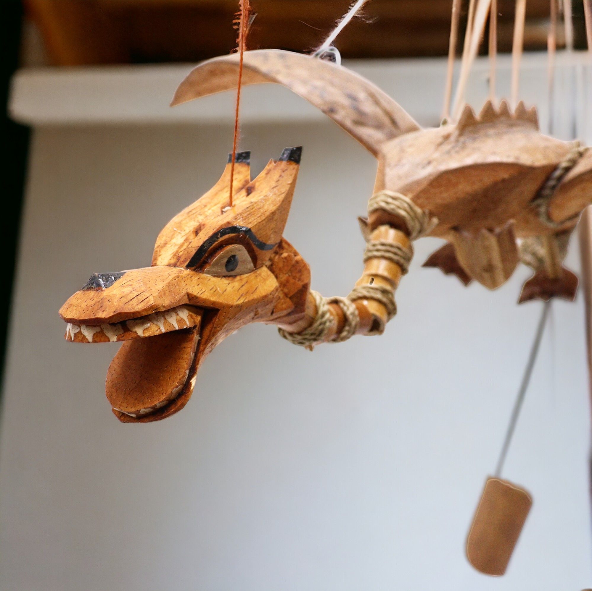 Dragones Voladores