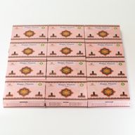 Paquete de 104 ladrillos de incienso natural y quemador - Happy Planets - Ladrillos rituales