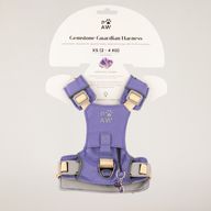 PAW - XS (2-4 kg) Arnés de paso para perros Guardian con malla reflectante - Lavanda - Colgante de amatista