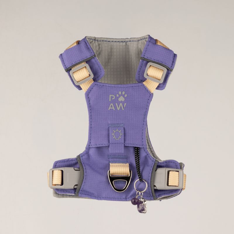 PAW - XS (2-4 kg) Arnés de paso para perros Guardian con malla reflectante - Lavanda - Colgante de amatista