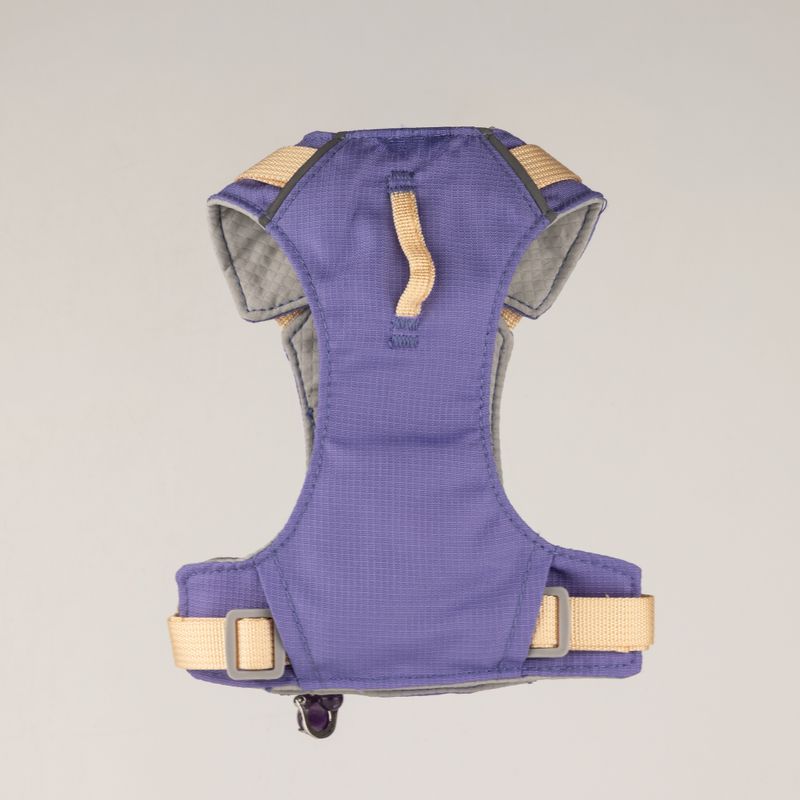 PAW - XS (2-4 kg) Arnés de paso para perros Guardian con malla reflectante - Lavanda - Colgante de amatista