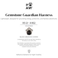 PAW - XS (2-4 kg) Arnés de paso para perros Guardian con malla reflectante - Rock Grey - Black Obsidian Charm
