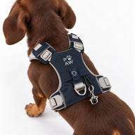 PAW - XS (2-4 kg) Arnés de paso para perros Guardian con malla reflectante - Rock Grey - Black Obsidian Charm
