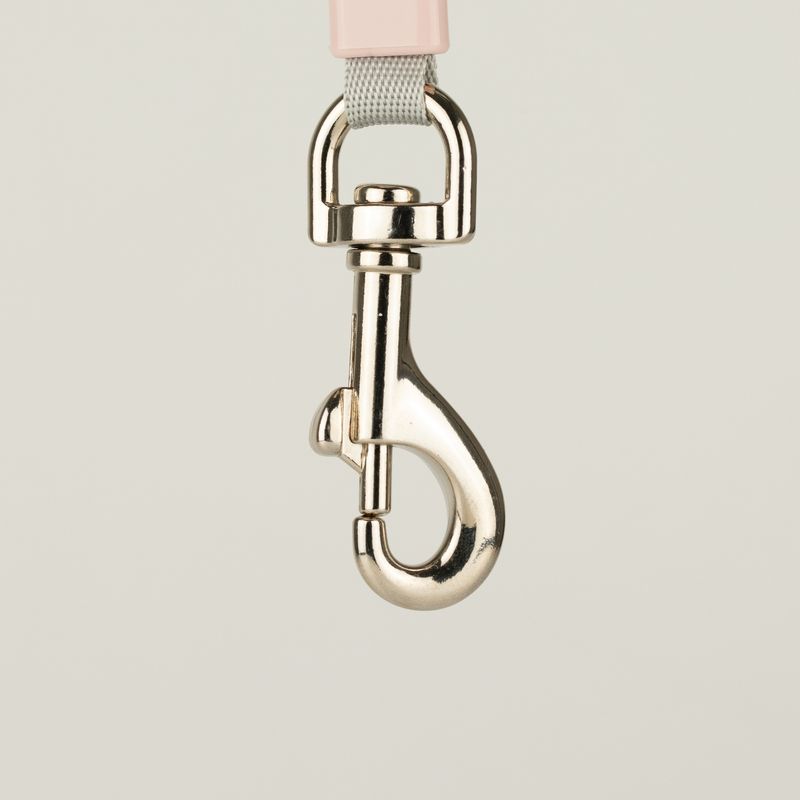 Paw Pet Correa - Mini Mango - Plumb - 3m