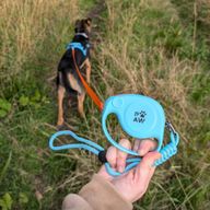 Correa para mascotas Paw Pet - Correa de elefante - Azul - 2m