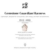 P-AW Paquete de inicio del Guardián de Gemas
