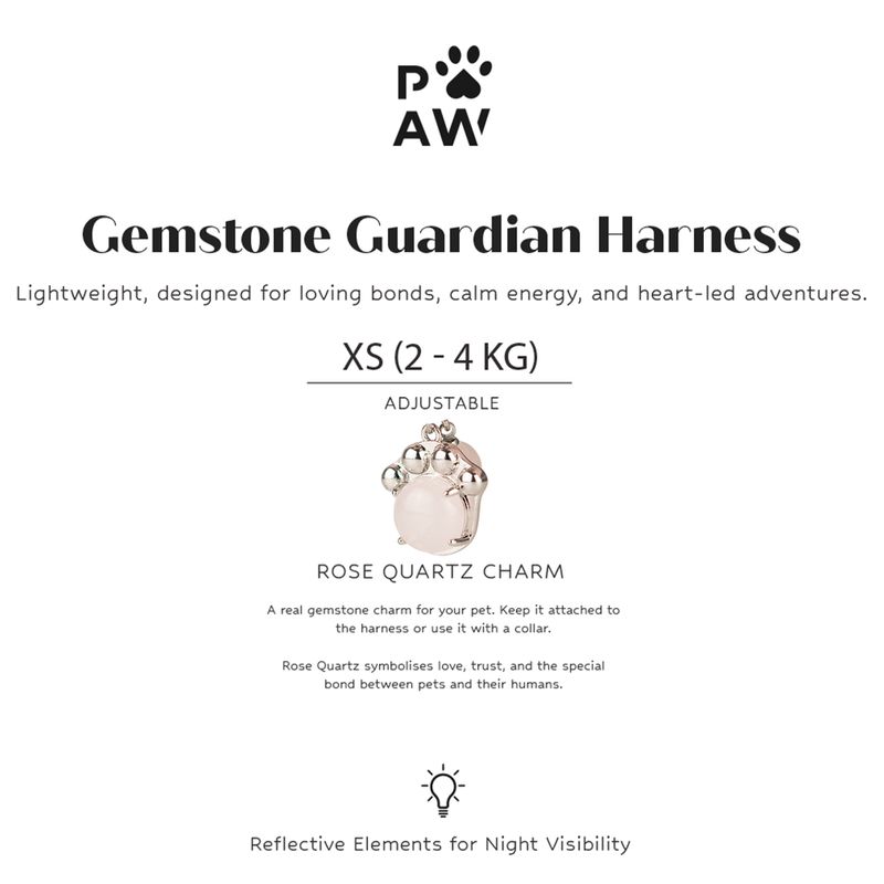 P-AW Paquete de inicio del Guardián de Gemas