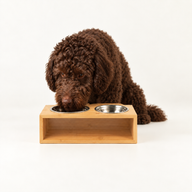 PAW Cuencos para comida - Grande doble acero inoxidable (201) en soporte de madera - 2x13 cm