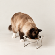 Cuencos de comida PAW - Cuenco único para gato en soporte - Acero inoxidable (304)