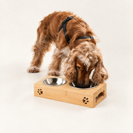 PAW Cuencos para comida - doble acero inoxidable (201) en soporte de madera - 2x12cm
