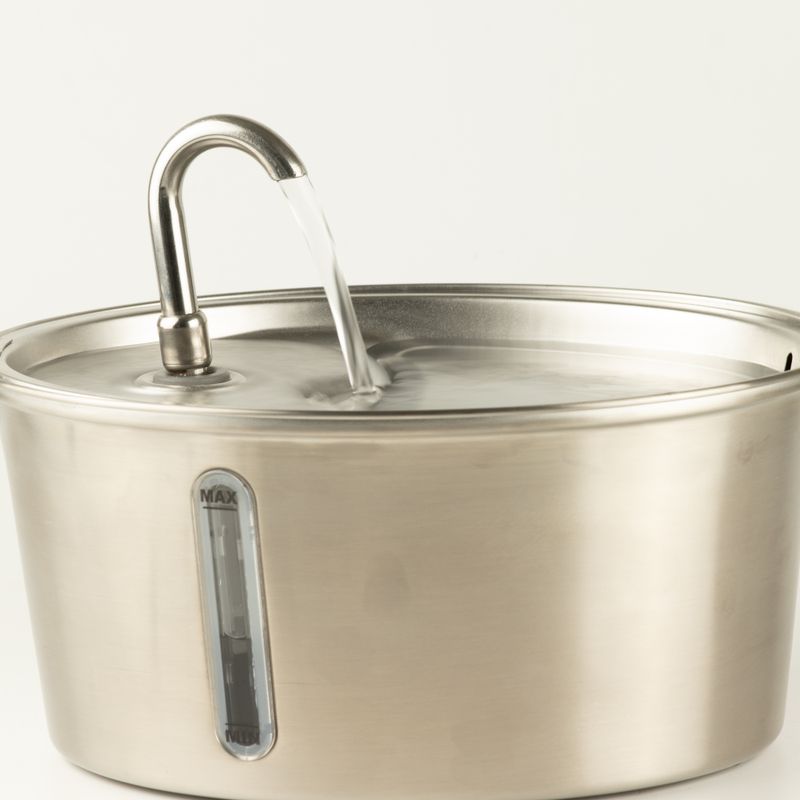 Tazones para comida PAW - Fuente de agua eléctrica de 2.5 litros - USB - acero inoxidable (304)