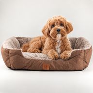 Paw Bed - Pequeño osito de peluche marrón - 60x45x17cm