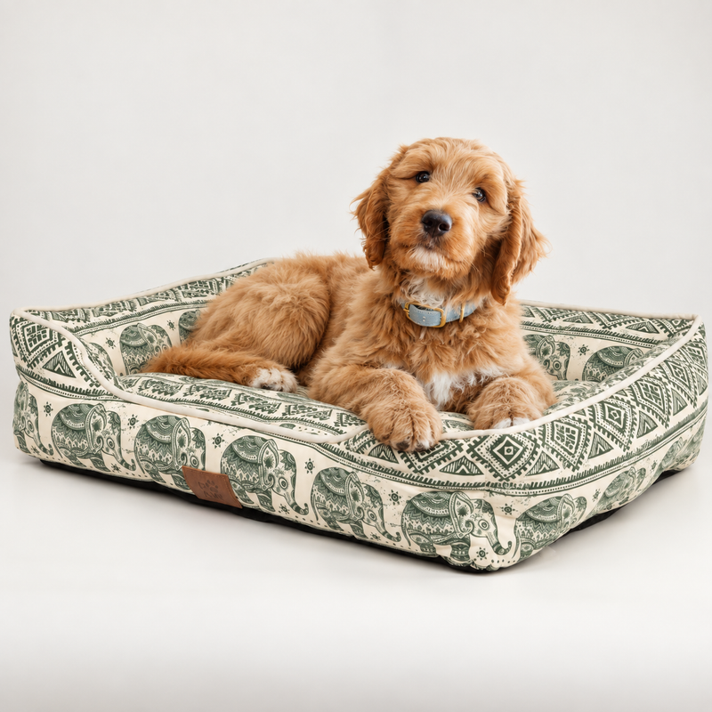 Cama para patitas - Elefante afortunado - Verde - 60x50x14 cm
