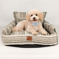 Paw Bed - Sofá Mediano - Rayas Marrones - 60x60x28cm