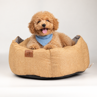 Cama para patitas - Mediano Corona Real - Arena y Gris - 50x50x26 cm