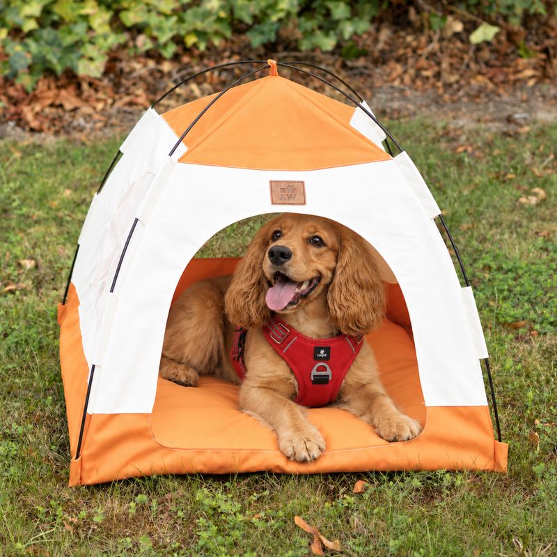Cama para patas - Tienda beige y naranja - 58x58x48cm