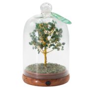Jardín de cúpula con piedras preciosas - Aventurina verde y luces LED - 200 piedras