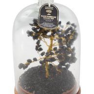 Jardín de cúpula con piedras preciosas - Turmalina negra y luces LED - 200 piedras trituradas