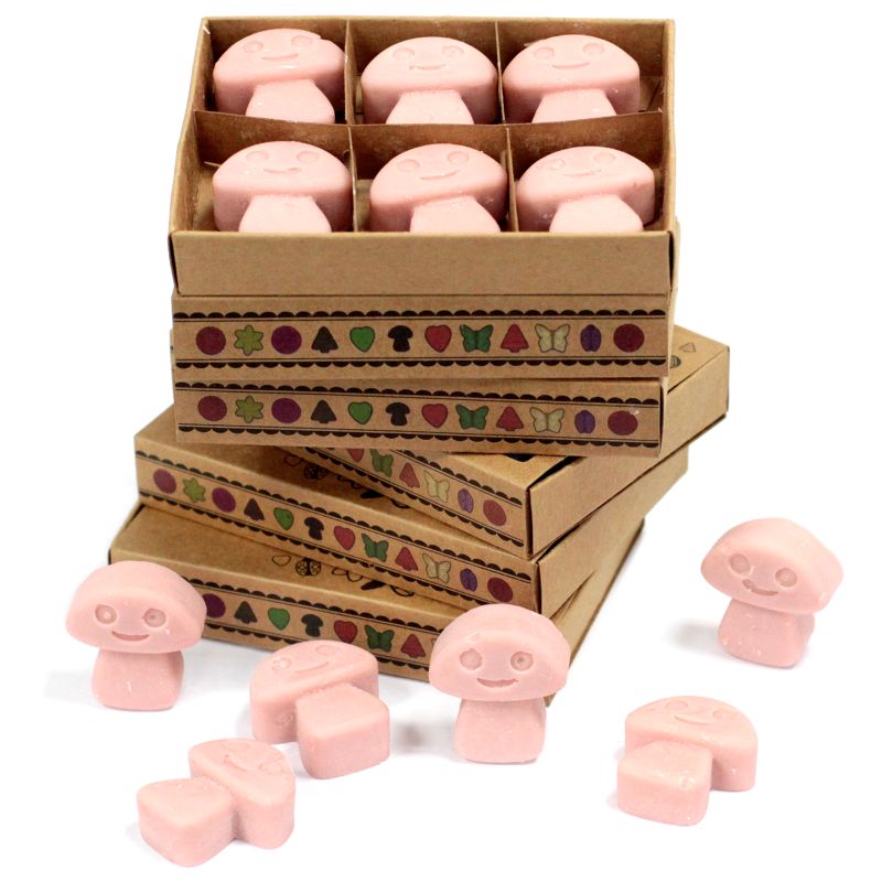 Pack de inicio de fundentes de cera de soja natural con expositor de 4 niveles