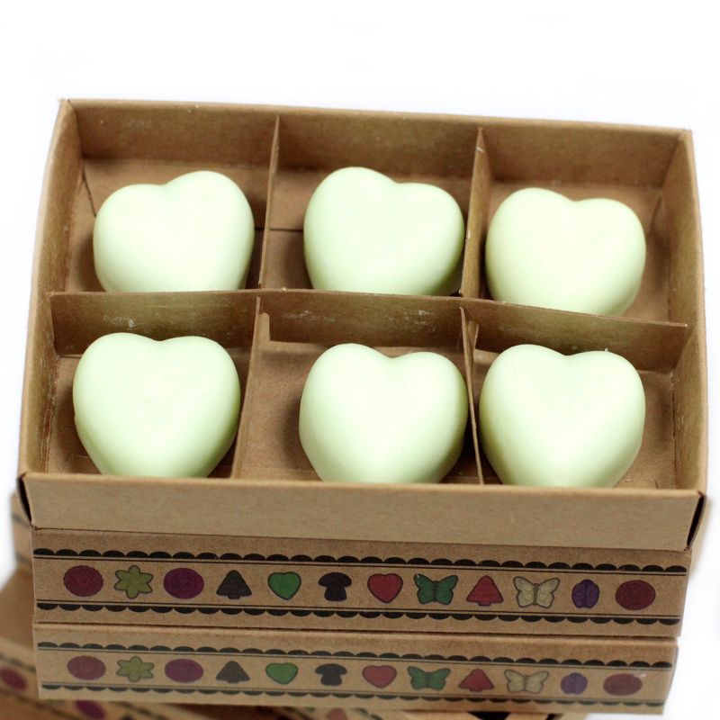 Pack de inicio de fundentes de cera de soja natural con expositor de 4 niveles