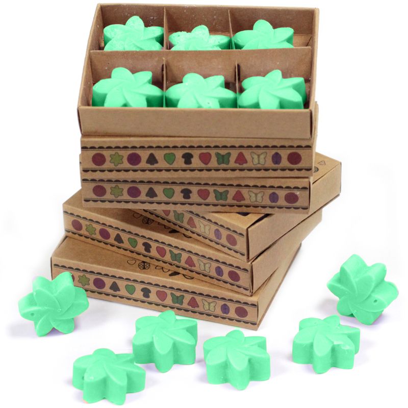 Pack de inicio de fundentes de cera de soja natural con expositor de 4 niveles
