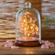 Jardín de cúpula con piedras preciosas - Cuarzo rosa y luces LED - 200 piedras