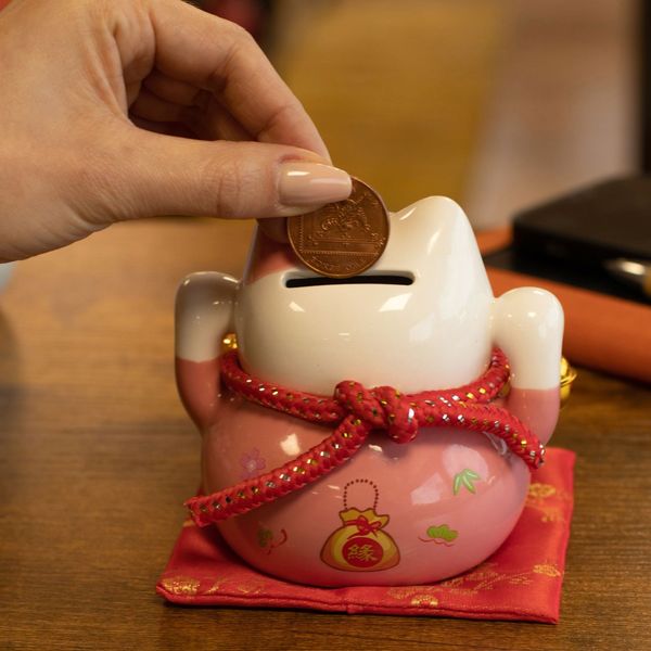 Hucha de Cerámica con forma de Gato - Rosa sobre cojín