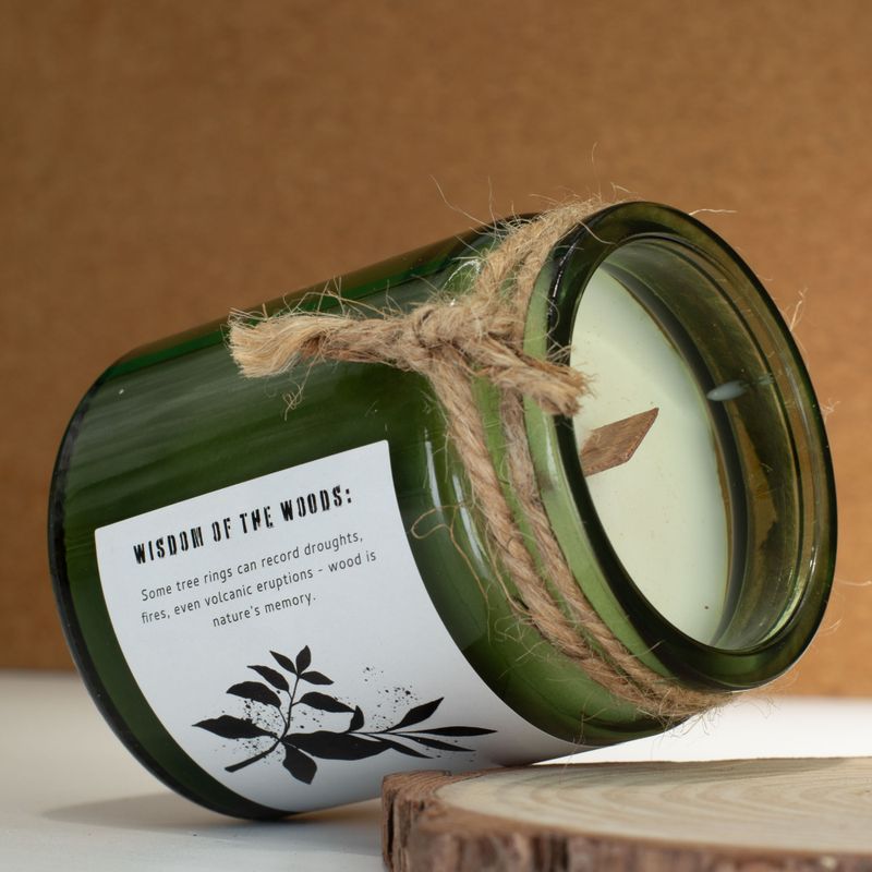 Pack de inicio de velas de soja Woodwick