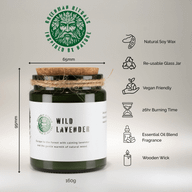 Pack de inicio de velas de soja Woodwick
