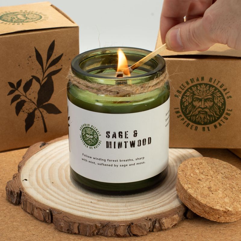 Pack de inicio de velas de soja Woodwick