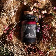 Pack de inicio Ancient Witch – 69 piezas | Ahorra un 10%