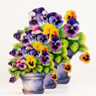 Plantas de madera para el hogar – Pensamiento grande