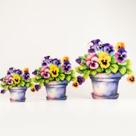 Plantas de madera para el hogar - Pensamiento mediano