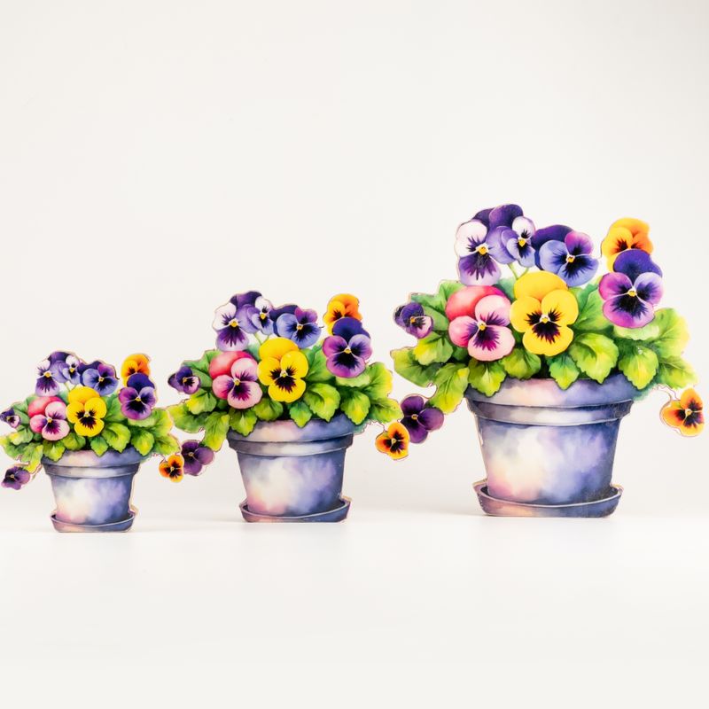 Plantas de madera para el hogar – Pensamiento grande