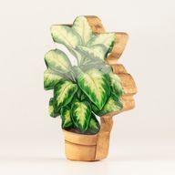 Plantas de interior de madera - Mini planta de la selva