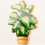 Plantas de madera para el hogar – Pensamiento grande