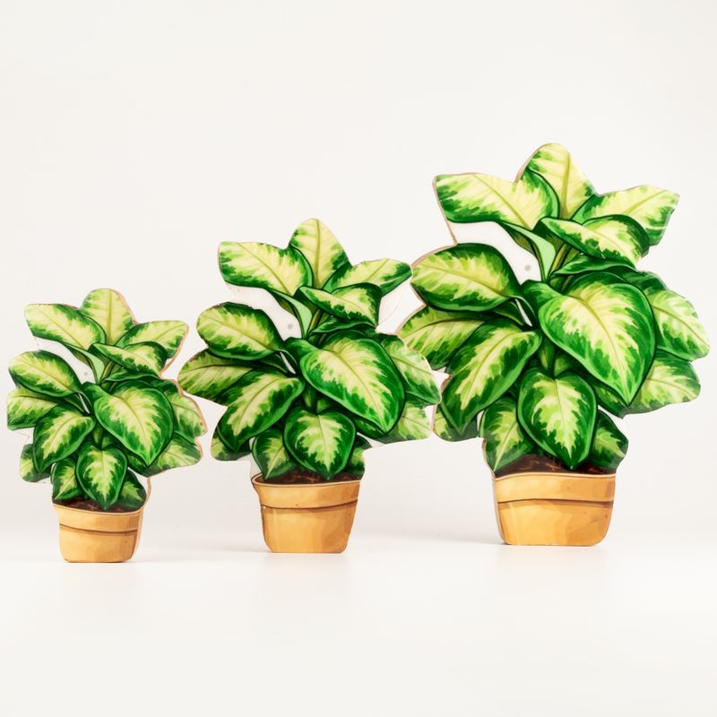Plantas de madera para el hogar – Pensamiento grande