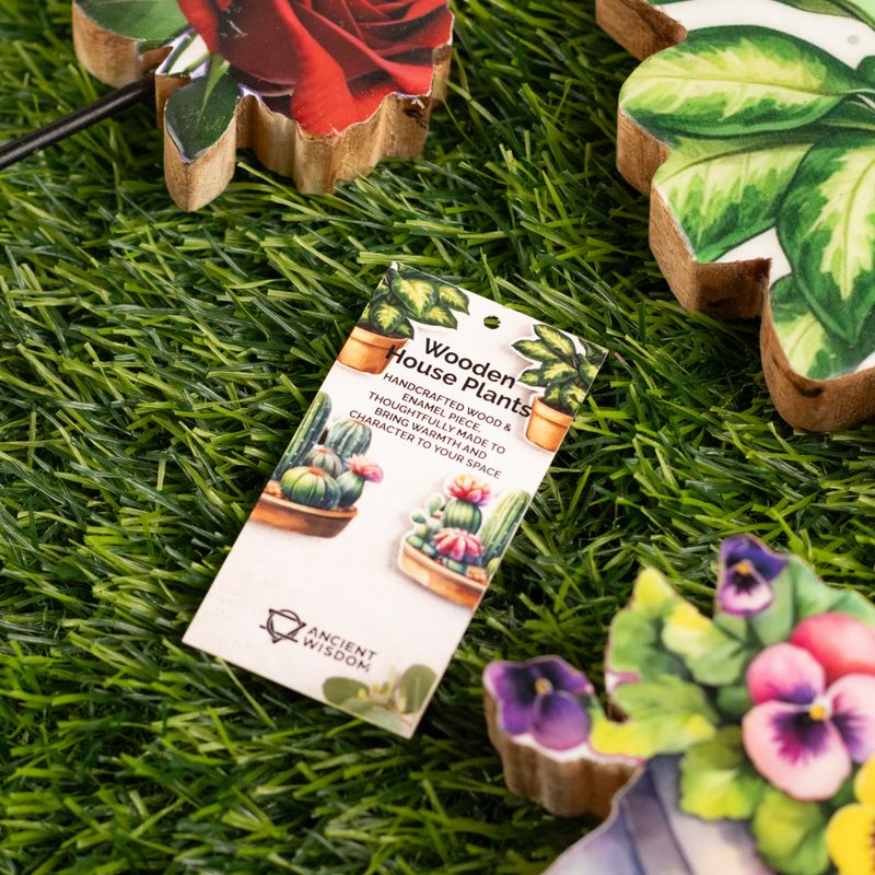 Plantas de madera para el hogar – Pensamiento grande
