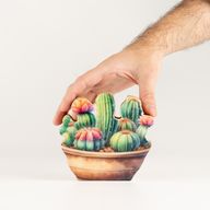 Plantas decorativas de madera – Mini jardín de cactus