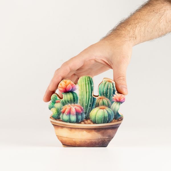Plantas de madera para el hogar – Mini jardín de cactus