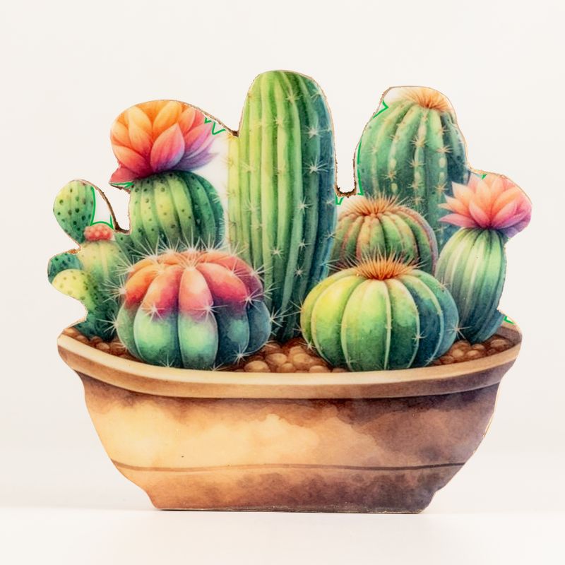 Plantas de madera para el hogar - Jardín de cactus mediano