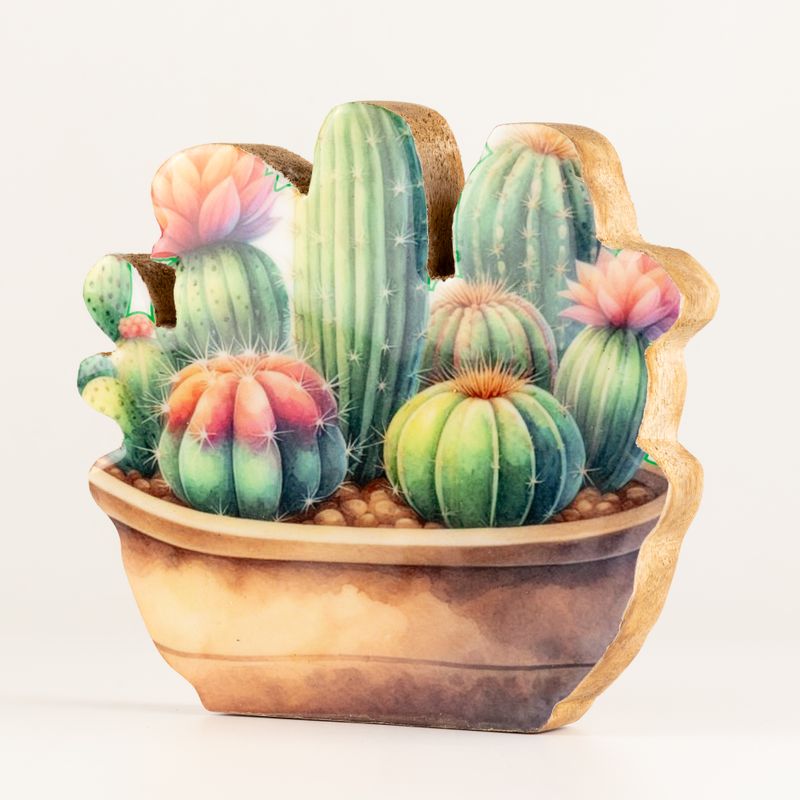 Plantas de madera para el hogar - Jardín de cactus mediano