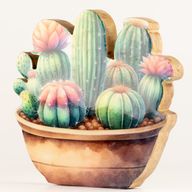 Plantas de madera para el hogar - Jardín de cactus grande