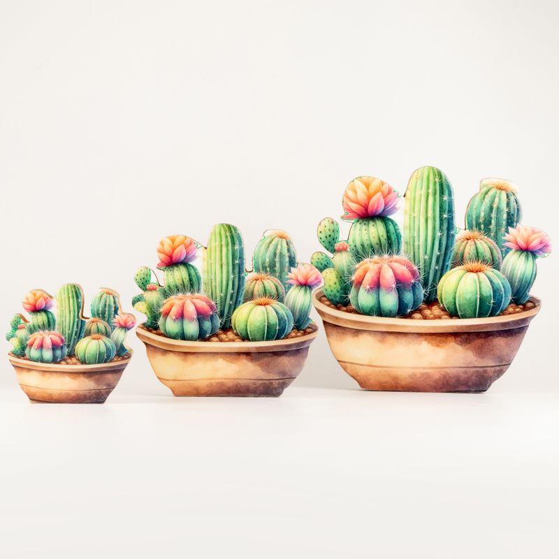 Plantas de madera para el hogar - Jardín de cactus grande