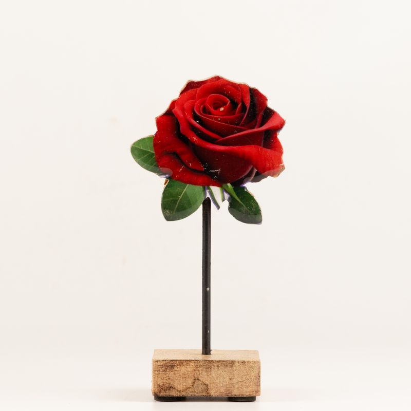 Plantas de madera para el hogar - Mini rosa individual