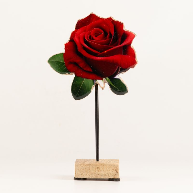 Plantas de madera – Rosa individual mediana