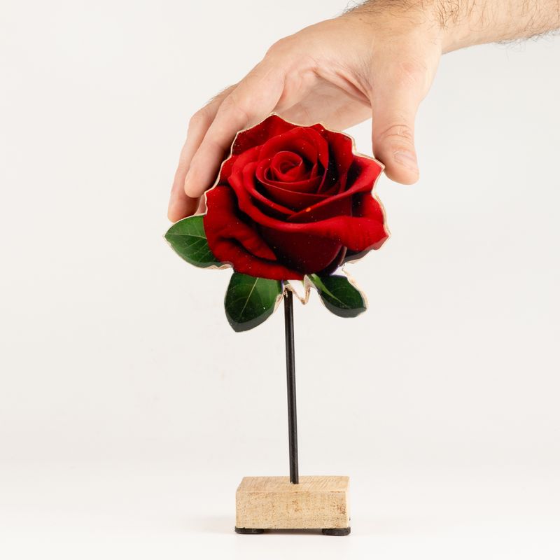 Plantas de madera – Rosa individual mediana