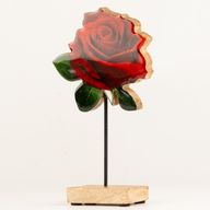Plantas de madera para el hogar - Rosa grande de tallo único