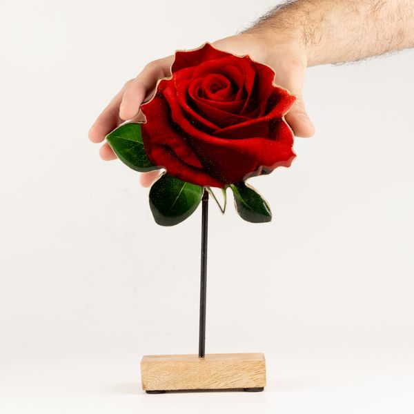 Plantas de madera para el hogar – Rosa individual grande